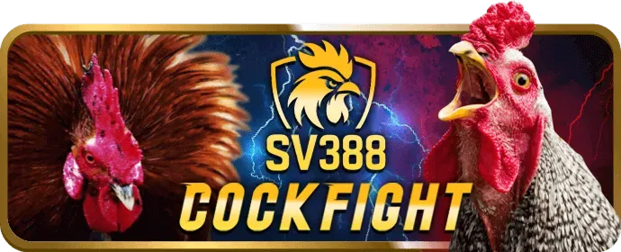 So sánh tỷ lệ trả thưởng tài xỉu và game bài oke vip
